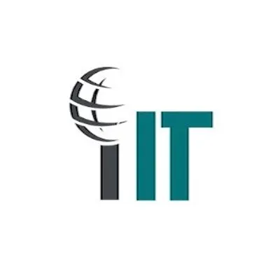 International IT profile