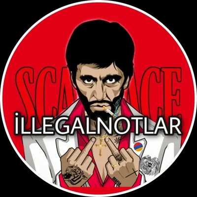 İllegal Notlar 🇹🇷 profile