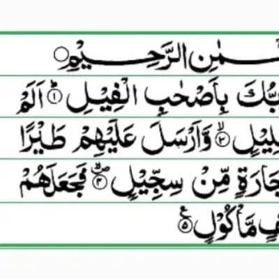 islamic knowledge❤💯 profile