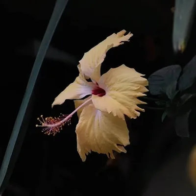 ❣️ I Love Nature 🌱 profile