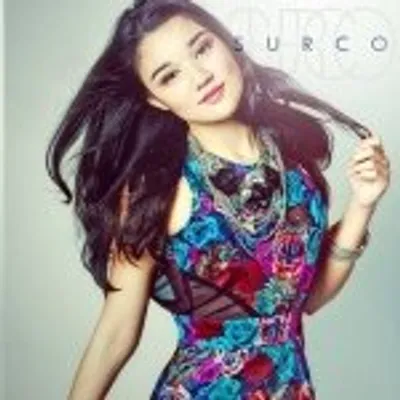 SURCO profile
