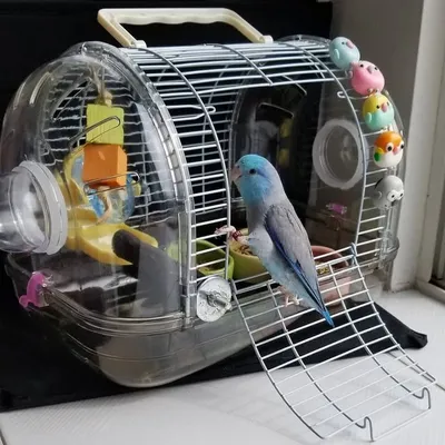 I'm pet supplies profile