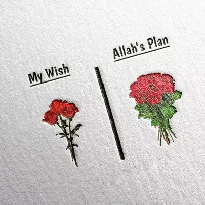 عماد أوز profile