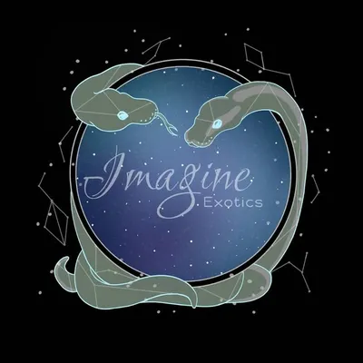 Imagine Exotics profile