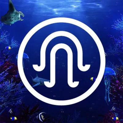 Imagine Music Festival profile
