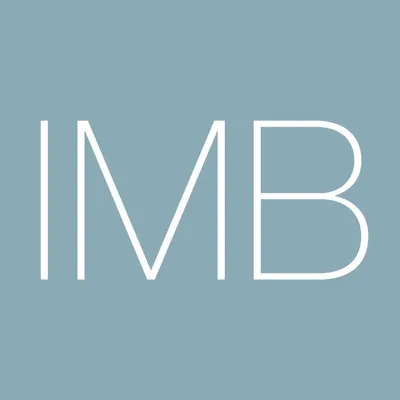 Innovative Management Beratung profile