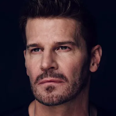 David Boreanaz profile