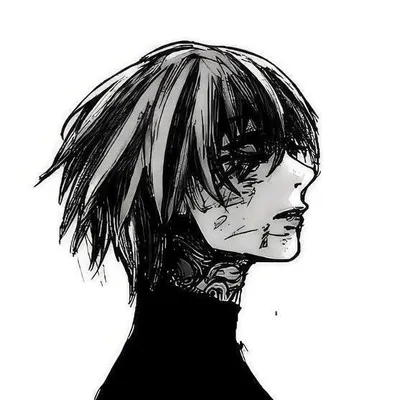 profile