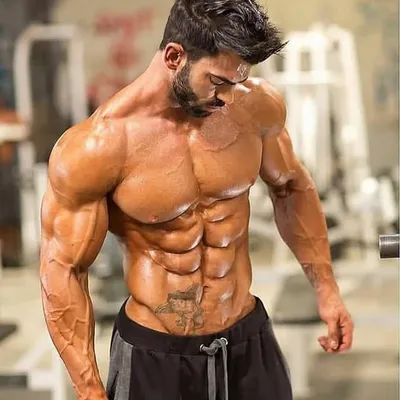 SHREDDED 🔪 profile