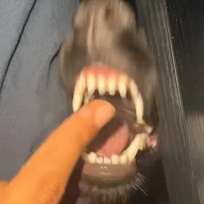 ๐
๐๐๐ถ ๊ฐ๊ฟ profile
