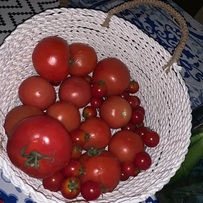 Vidhya Thiagarajan profile