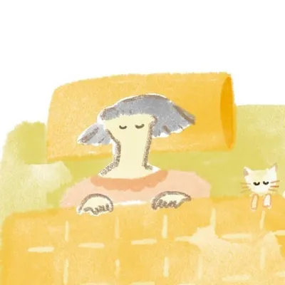 太 迪 了 TeddyZ 🎨 profile