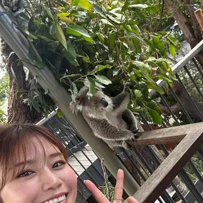 稲村亜美 profile