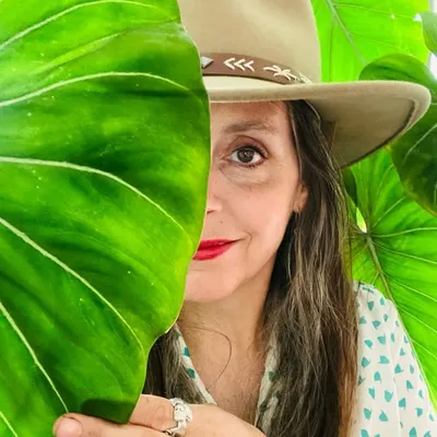 In Another Green World profile