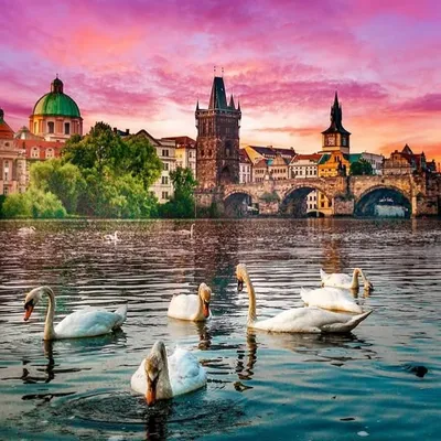 Incredible Prague profile