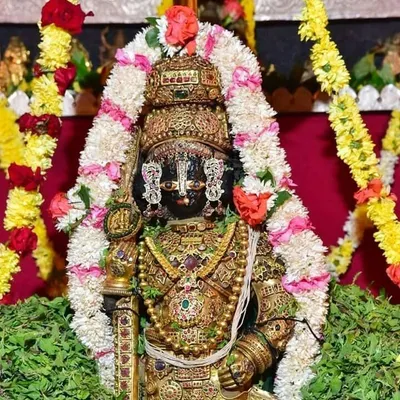 Incredible Udupi profile