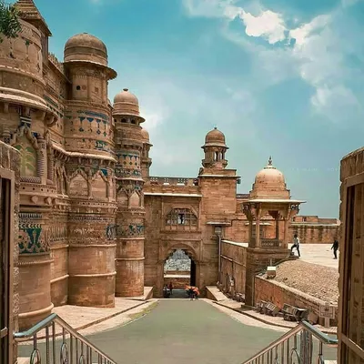 India Top Pics ๐ฎ๐ณ profile