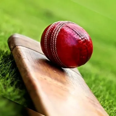 CRICKET WORLD profile