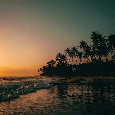 reelsofIndia‼❤ profile