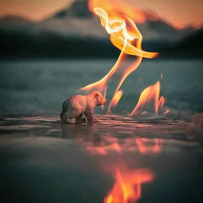 Indian🇮🇳shoutout📷2018 profile