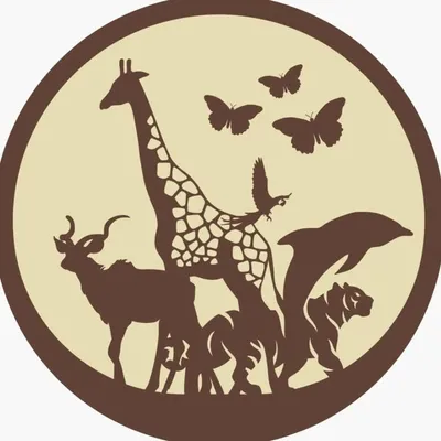 Indianapolis Zoo profile