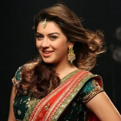 Indian Cinema profile