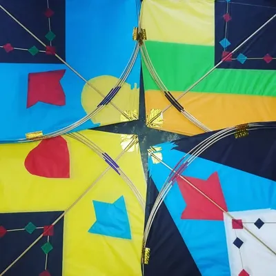 Indian Fighter Kite profile