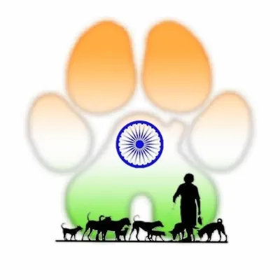 Indian street dogs profile