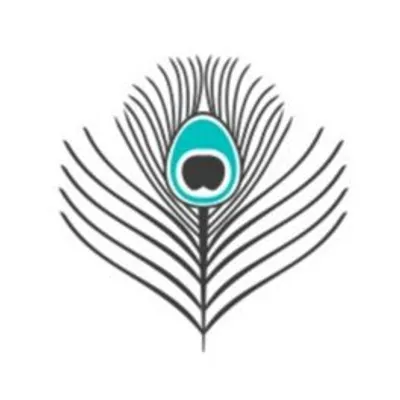 The India Silk Company profile