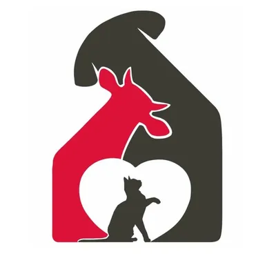IndieLove Welfare Foundation profile