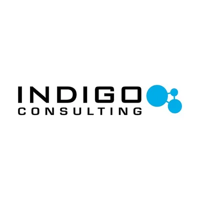 Indigo Consulting profile
