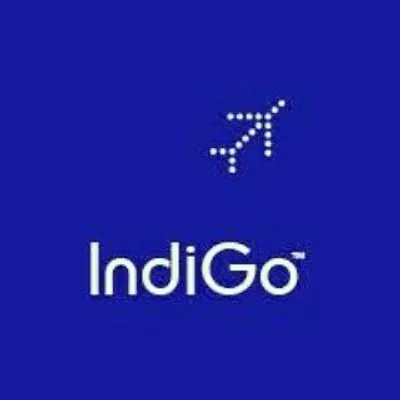 Indigo Airlines profile