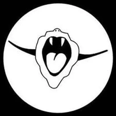 INDIRECTAS DEL ROCK profile
