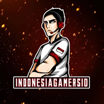 🇮🇩Indonesia Gamers🇮🇩 profile