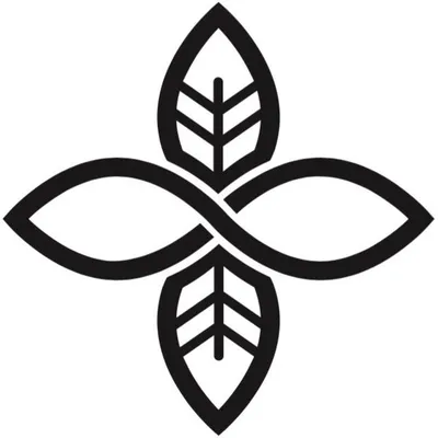 Infinity Foilboards profile