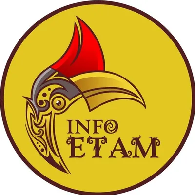 INFO_ETAM profile