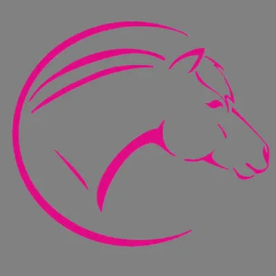 Fjordpferde • Zucht • Reitsport profile