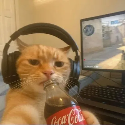 F E M I N A M A J E E D profile