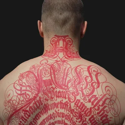 T o m a s z G ó r n i c k i profile
