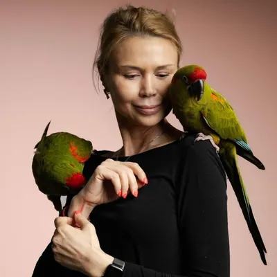 Inna Kelberer profile
