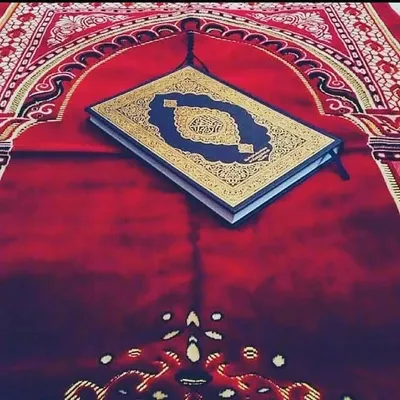 ISLAM profile
