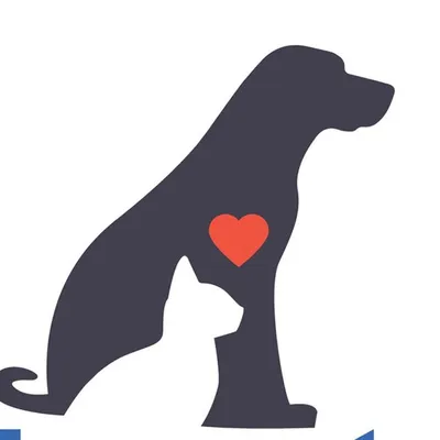 InnovetPets profile