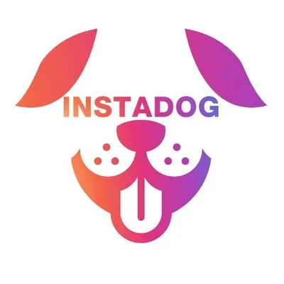 INSTADOG profile
