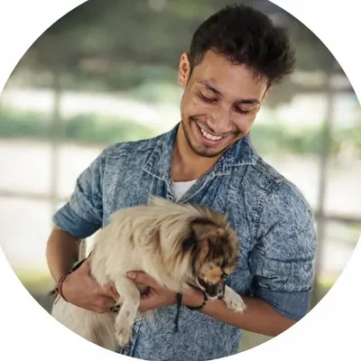 Krish | Digital marketer profile