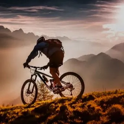 MTB profile