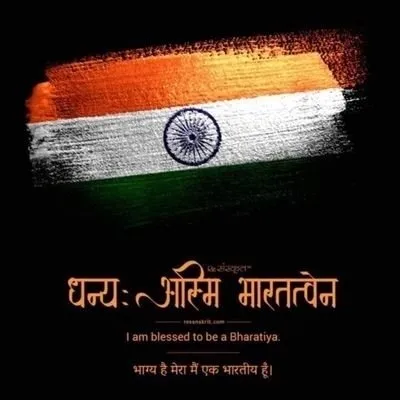 instantbollybytes profile