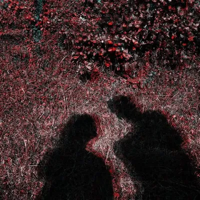 Intense Shadows profile