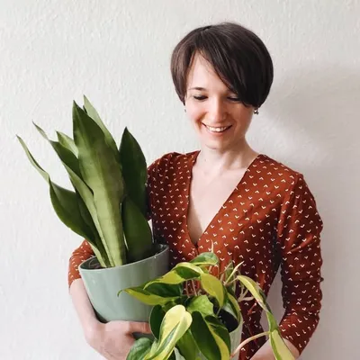 BOTANICAL WATERCOLOR ILLUSTRATION profile
