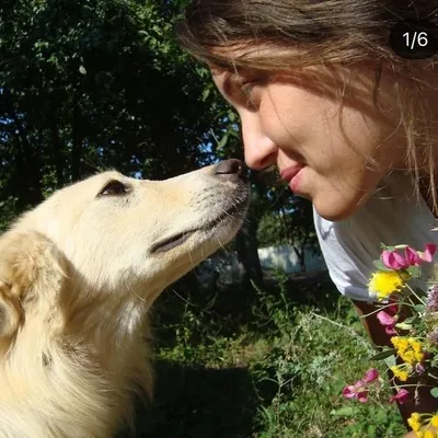 Om cu care plângi la filme profile