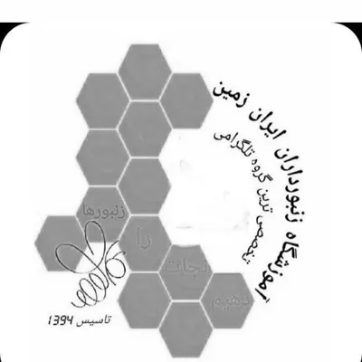 Mohammad sobhani profile